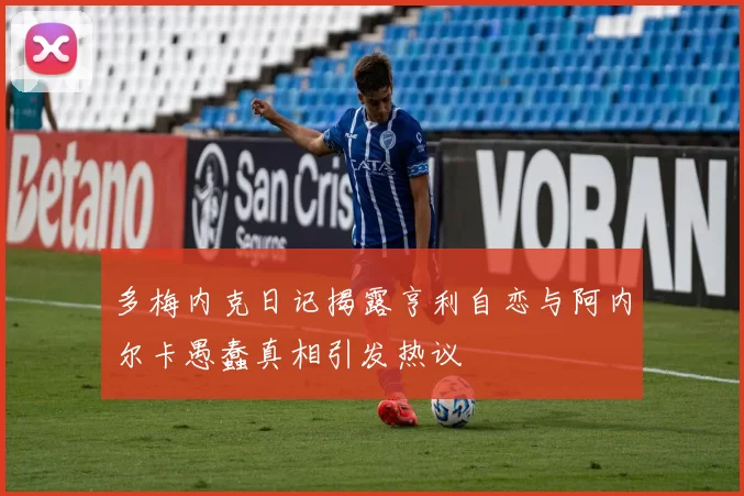 多梅内克日记揭露亨利自恋与阿内尔卡愚蠢真相引发热议