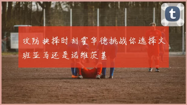 攻防抉择时刻霍华德挑战你选择文班亚马还是诺维茨基